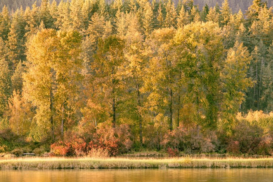 Golden hour on the marsh