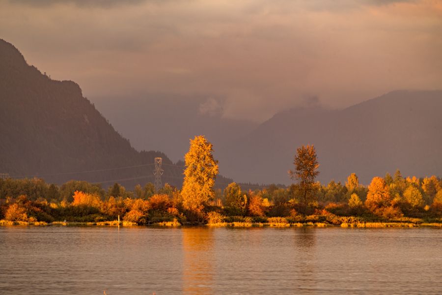 Two orange autumn trees lit by the last sun against dusky purple mountains, reflected in a calm river