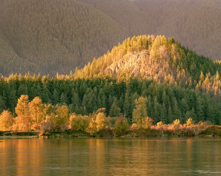 Evening light catching a rocky, forested knoll and yellow trees above a still river