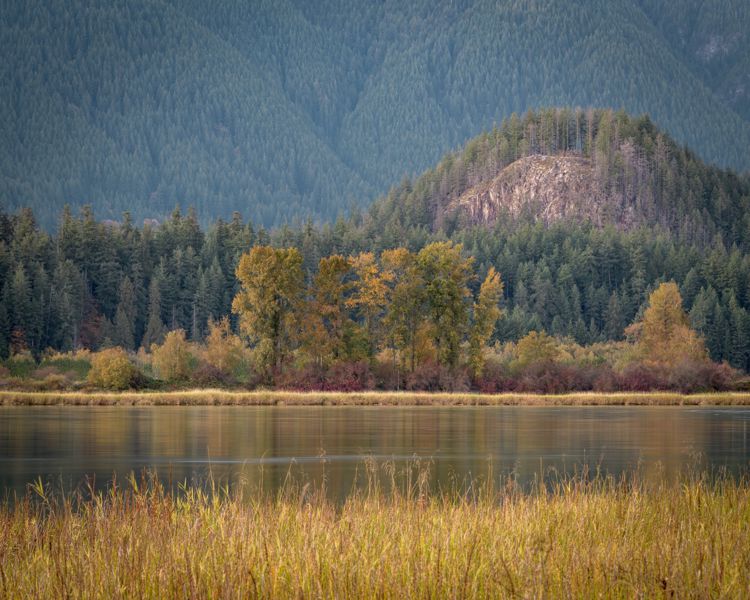 Early autumn trees beneath a forested hill with a rock face, seen across a river from tall golden grass
