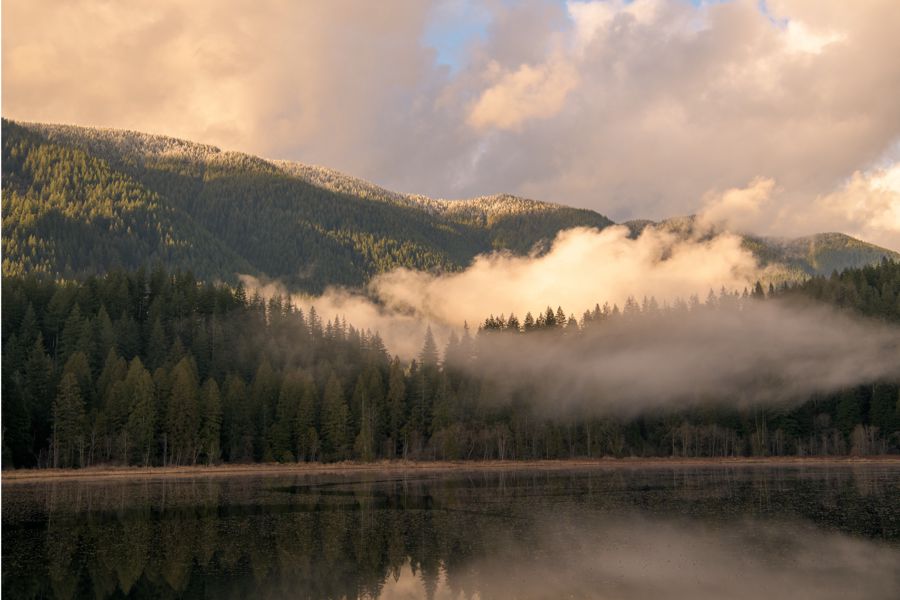 Lake & marsh, late summer