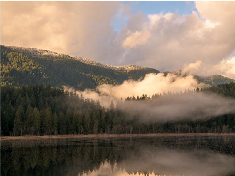 Low mist drifting across forested hills above a calm lake that mirrors the trees and clouds