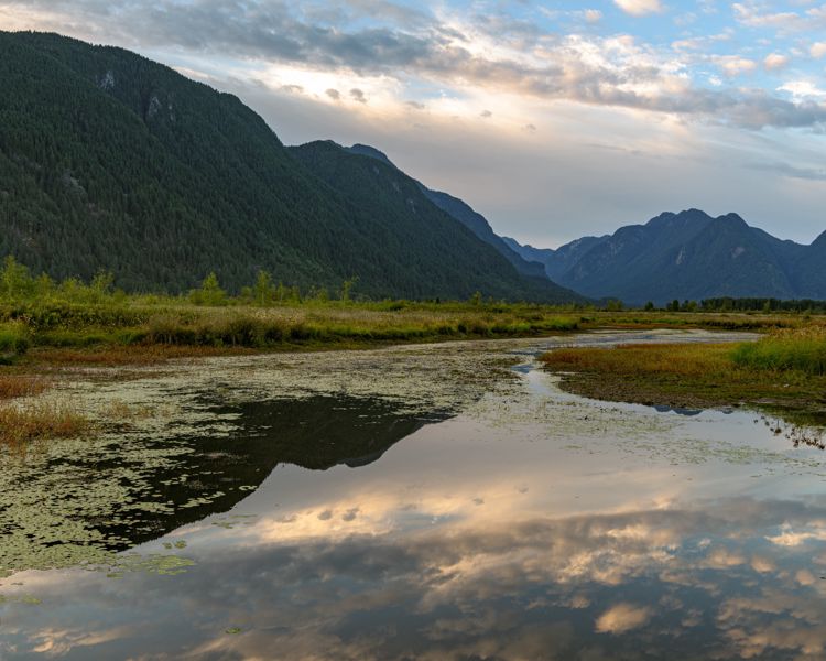A winding channel through a green marsh reflecting clouds and blue sky, leading toward a mountain valley