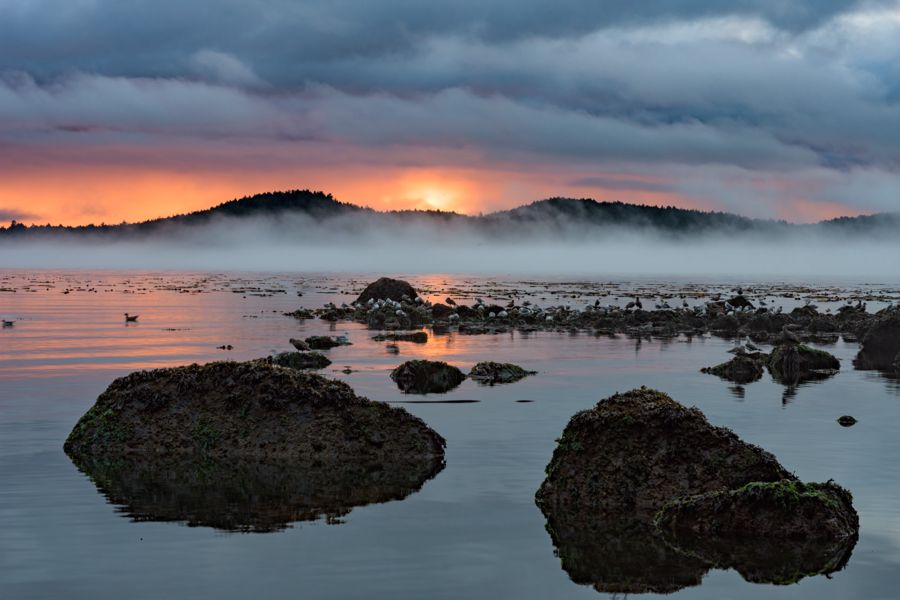 The sun rising behind low hills over a band of sea fog, with dark boulders reflected in calm water in the foreground
