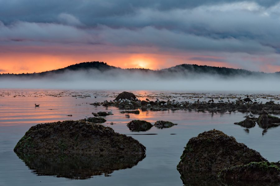 Pacific coast