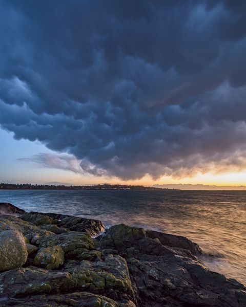 Dark, pouch-like mammatus clouds hanging over the sea at sunset, above a rocky, lichen-covered shore