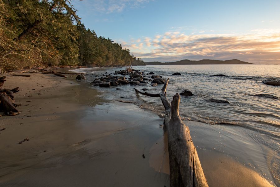 A driftwood log on a sandy beach in warm low sunlight, with a forested shoreline and islands on the horizon