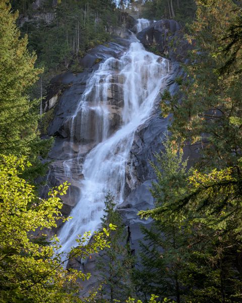 A tall waterfall cascading down a grey granite cliff, framed by sunlit green trees