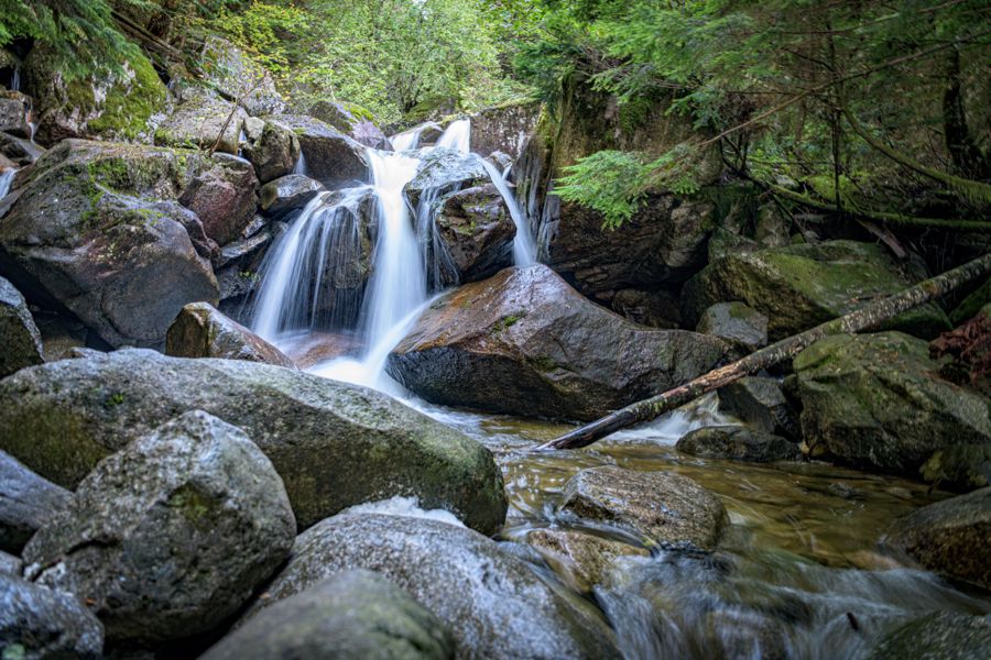 A creek tumbling between large mossy boulders and a fallen log in a green forest